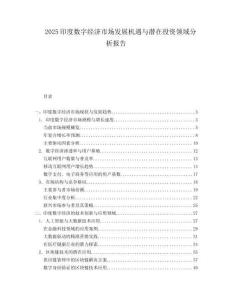 2025印度数字经济市场发展机遇与潜在投资领域分析报告.docx
