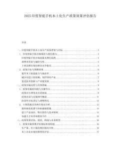 2025印度智能手机本土化生产政策效果评估报告.docx