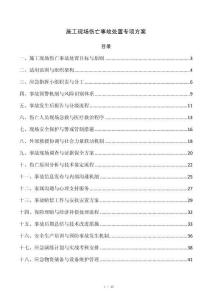 施工现场伤亡事故处置专项方案
