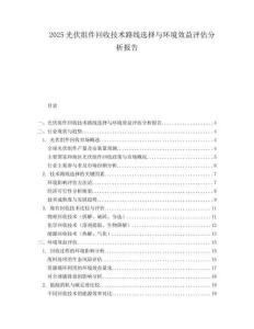 2025光伏组件回收技术路线选择与环境效益评估分析报告.docx