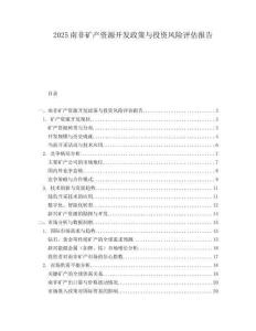 2025南非矿产资源开发政策与投资风险评估报告.docx