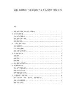 2025后补贴时代新能源行李车市场化推广策略研究.docx