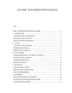 2025啤酒厂废水处理循环利用经济效益评估.docx