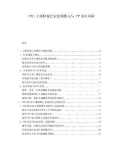 2025土壤修复行业盈利模式与PPP项目风险.docx