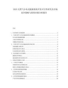 2025天然气分布式能源系统开发可行性研究及市场竞争策略与投资回报分析报告.docx