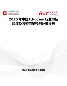 2025年中国td-cdma行业市场规模及投资前景预测分析报告