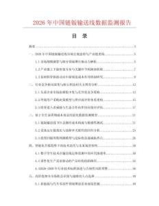 2026年中国链钣输送线数据监测报告.docx