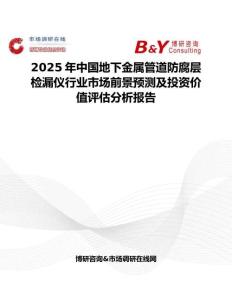 2025年中国地下金属管道防腐层检漏仪行业市场前景预测及投资价值评估分析报告