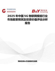 2025年中国5G物联网模组行业市场前景预测及投资价值评估分析报告