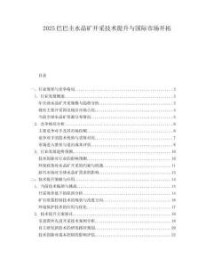 2025巴巴圭水晶矿开采技术提升与国际市场开拓.docx