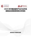 2025年中国运输电气化行业市场规模及投资前景预测分析报告
