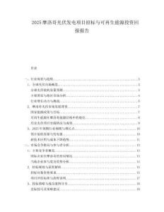 2025摩洛哥光伏发电项目招标与可再生能源投资回报报告.docx