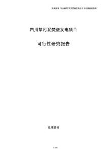 四川某污泥焚烧发电项目可行性研究报告模板