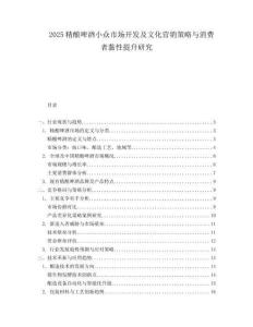 2025精酿啤酒小众市场开发及文化营销策略与消费者黏性提升研究.docx