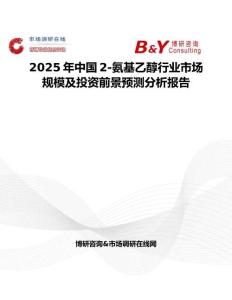 2025年中国2-氨基乙醇行业市场规模及投资前景预测分析报告
