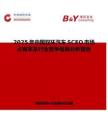 2025年中国双环汽车SCEO市场占有率及行业竞争格局分析报告