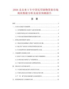 2026及未来5年中国实用储物货架市场现状数据分析及前景预测报告