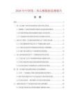 2026年中国邻二苯乙酸数据监测报告.docx