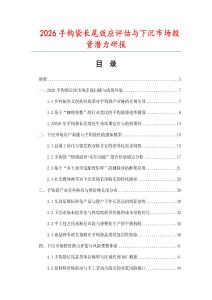 2026手钩袋长尾效应评估与下沉市场投资潜力研报.docx