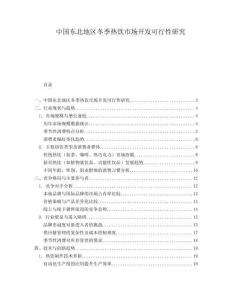 中国东北地区冬季热饮市场开发可行性研究.docx
