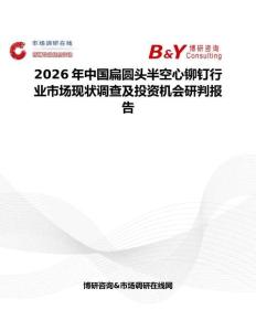 2026年中国扁圆头半空心铆钉行业市场现状调查及投资机会研判报告