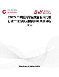 2025年中国汽车金属轮胎气门嘴行业市场规模及投资前景预测分析报告