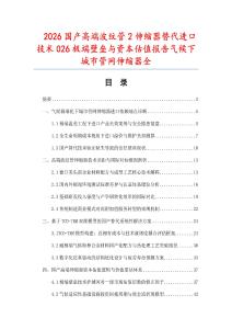 2026国产高端波纹管2伸缩器替代进口技术026极端壁垒与资本估值报告气候下城市管网伸缩器全.docx