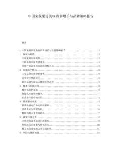 中国免税渠道美妆销售增长与品牌策略报告.docx