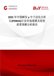 2025年中国瞬发γ中子活化分析仪(PGNAA)行业市场规模及投资前景预测分析报告