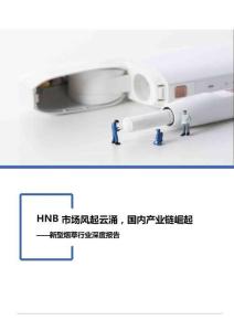 新型烟草-HNB市场风起云涌，国内产业链崛起