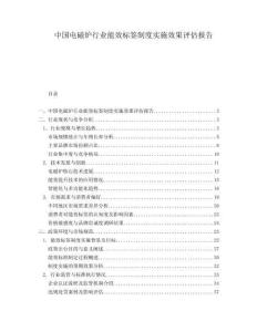 中国电磁炉行业能效标签制度实施效果评估报告.docx