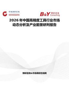 2026年中国高精度工具行业市场动态分析及产业前景研判报告