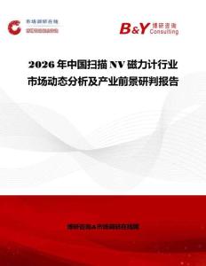 2026年中国扫描NV磁力计行业市场动态分析及产业前景研判报告