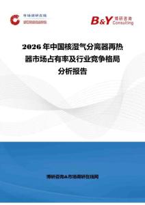 2026年中国核湿气分离器再热器市场占有率及行业竞争格局分析报告