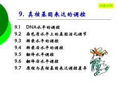 【生物课件】第九章  真核生物基因表达调控