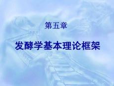 【生物课件】第五章 发酵学基本理论框架