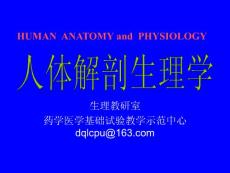中国药科大学  人体解剖生理学课件（丁启龙版） 第1章-绪论