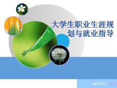 大学生就业指导规划第四讲