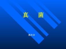 第十九章 真菌