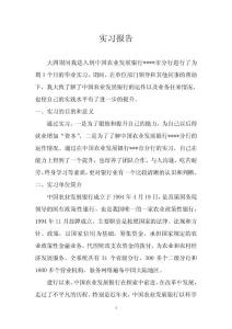 中国农业发展银行 大学生实习报告