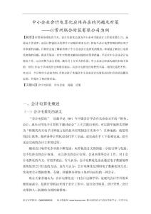 中小企业会计电算化应用存在的问题及对策