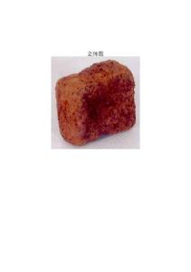 CN200630109035.5-臭豆腐