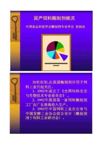 国产饲料酶制剂概括
