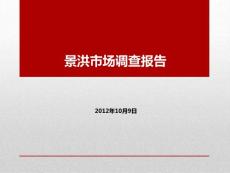 [调查/报告]西双版纳市调报告终稿1