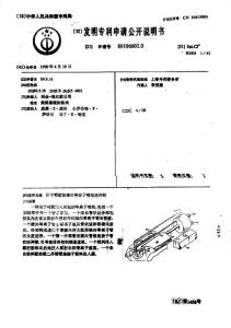 CN89106602.0-用于喷镀狭槽的等离子喷枪延伸部