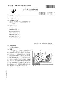 CN201220035707.2-十字绣工艺品装饰灯