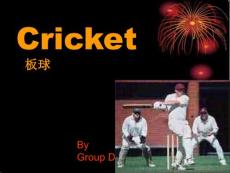 Cricket 4 板球介绍