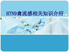 H7N9禽流感课件