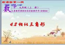 数学九年级上浙教版4.2相似三角形5课件