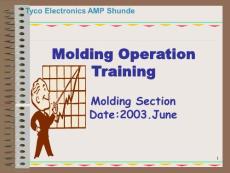 Molding Operational training